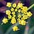 Fiche du Panais cultiv�