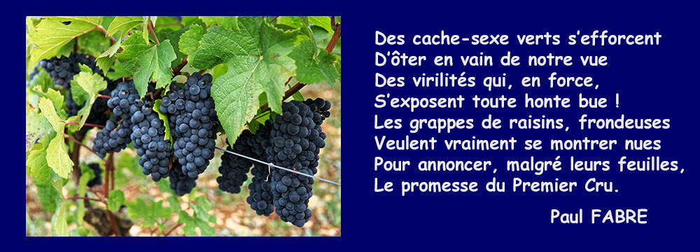 raisins