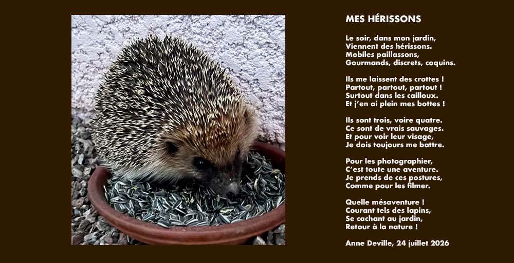herisson